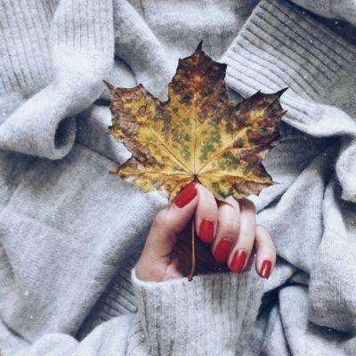 pg麻将胡了下载截图